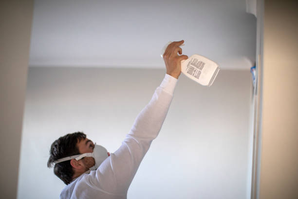Best Crawl Space Mold Removal  in Othello, WA