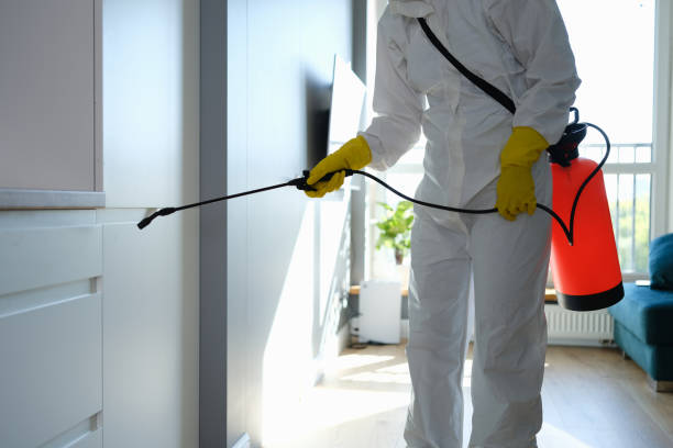 Best Commercial Mold Removal  in Othello, WA