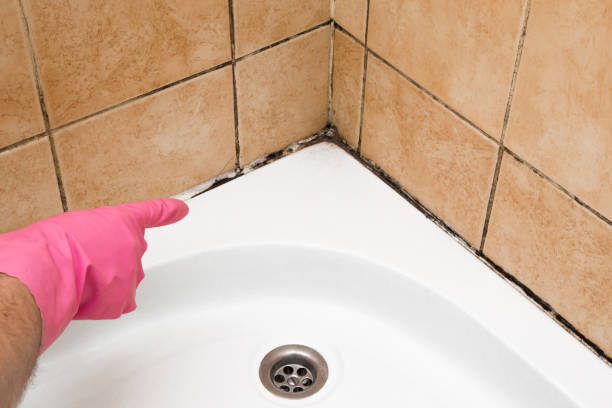 Best Emergency Mold Removal  in Othello, WA